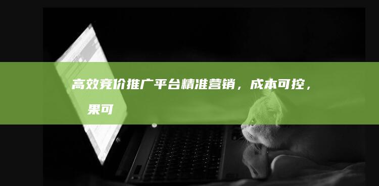 高效竞价推广平台：精准营销，成本可控，效果可视化